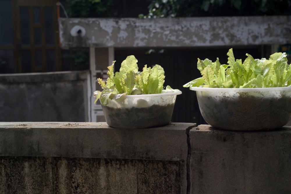 2007년 4월 27일~29일 불광5구역