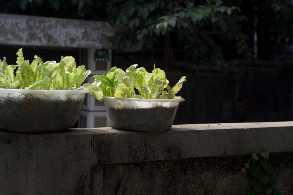 2007년 4월 27일~29일 불광5구역