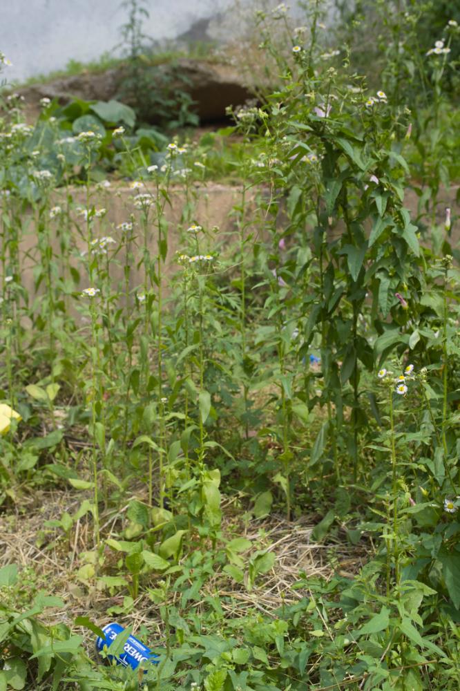 2007년 4월 27일~29일 불광5구역