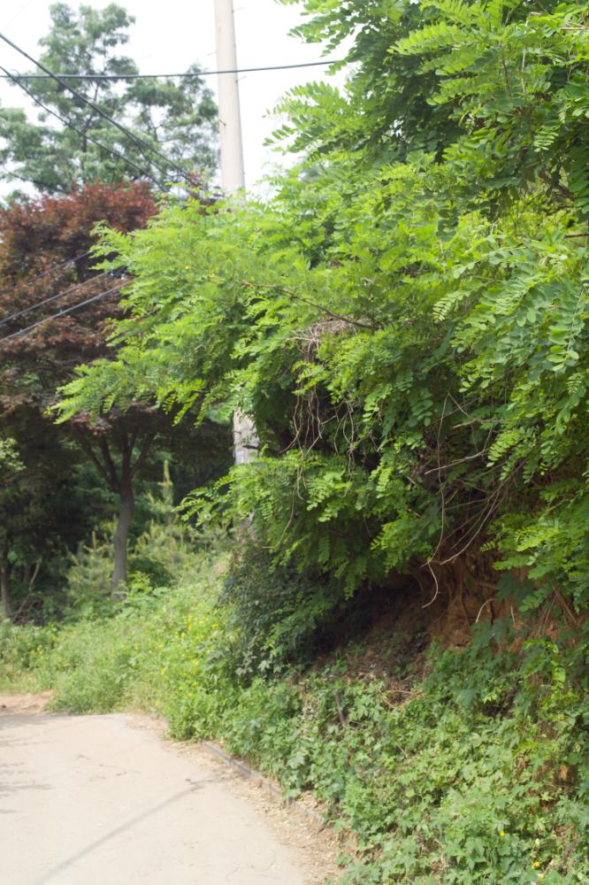 2007년 4월 27일~29일 불광5구역