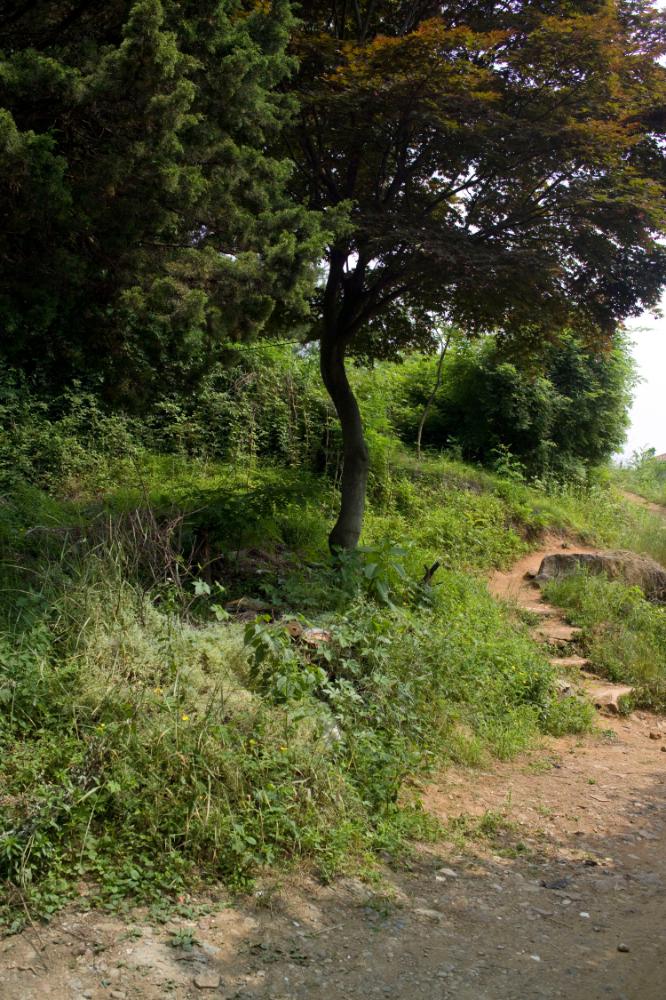 2007년 4월 27일~29일 불광5구역