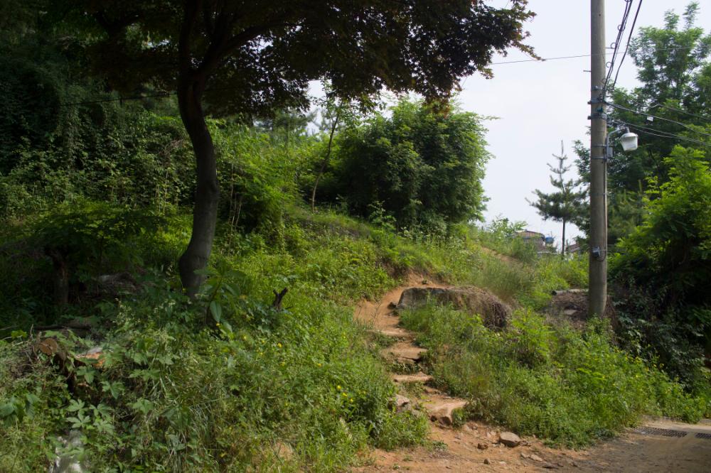 2007년 4월 27일~29일 불광5구역