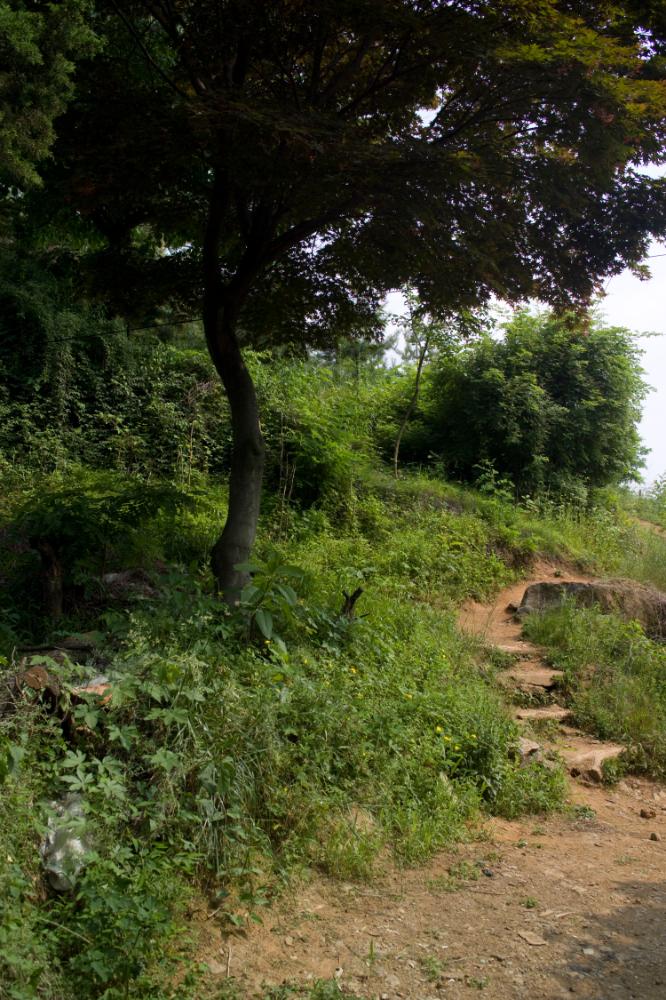 2007년 4월 27일~29일 불광5구역