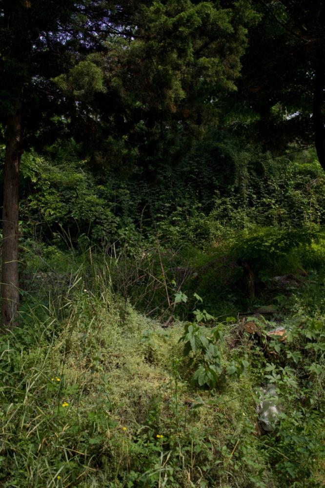 2007년 4월 27일~29일 불광5구역