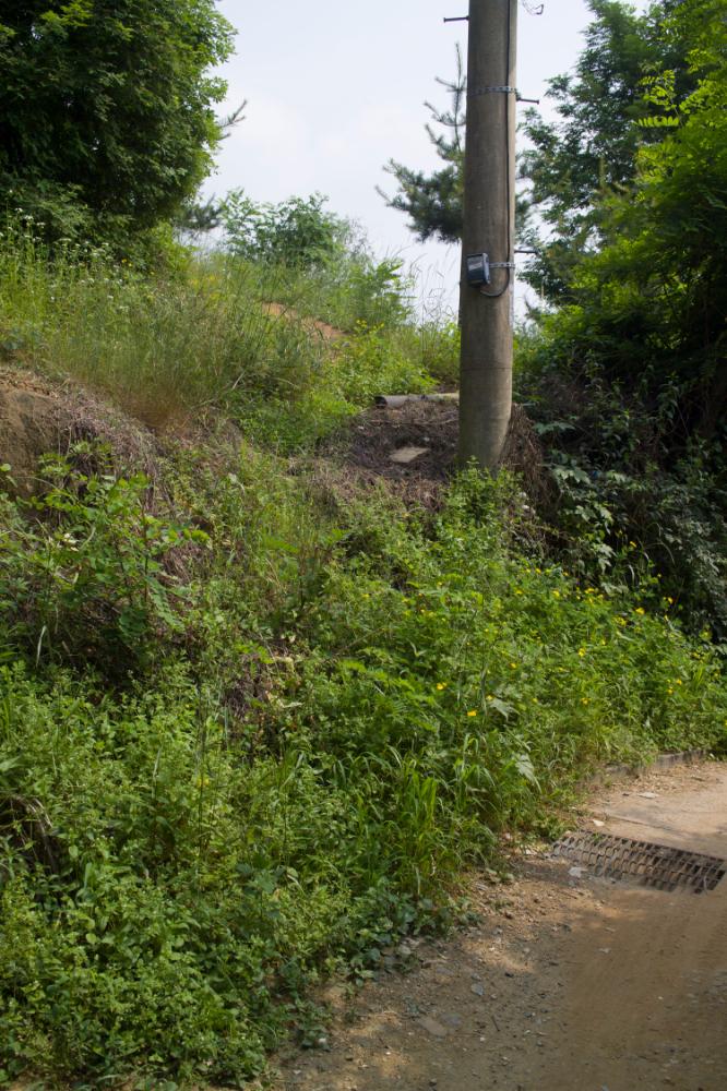 2007년 4월 27일~29일 불광5구역