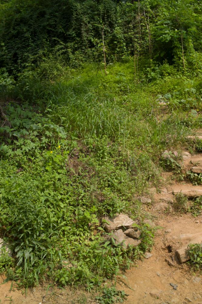 2007년 4월 27일~29일 불광5구역