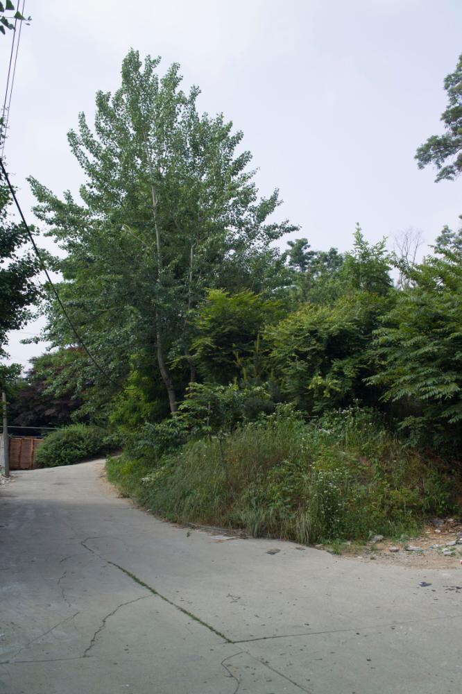 2007년 4월 27일~29일 불광5구역