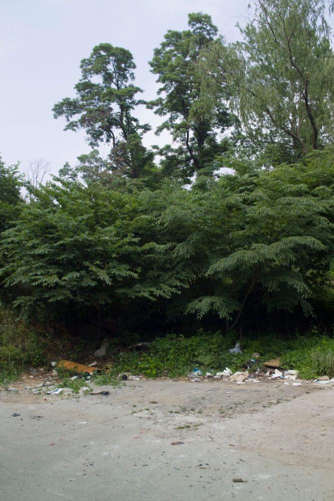 2007년 4월 27일~29일 불광5구역