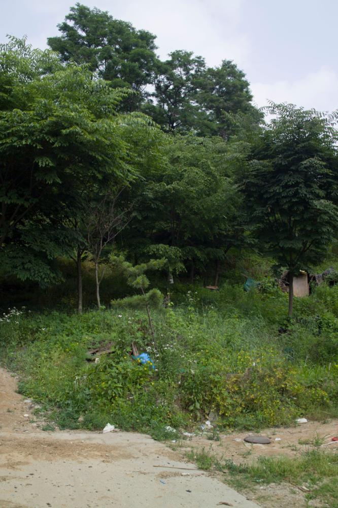 2007년 4월 27일~29일 불광5구역