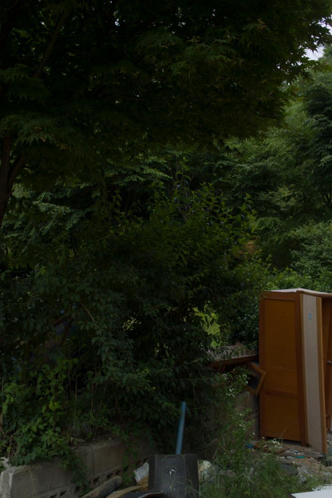 2007년 4월 27일~29일 불광5구역