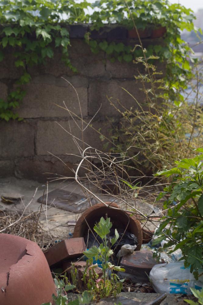 2007년 4월 27일~29일 불광5구역