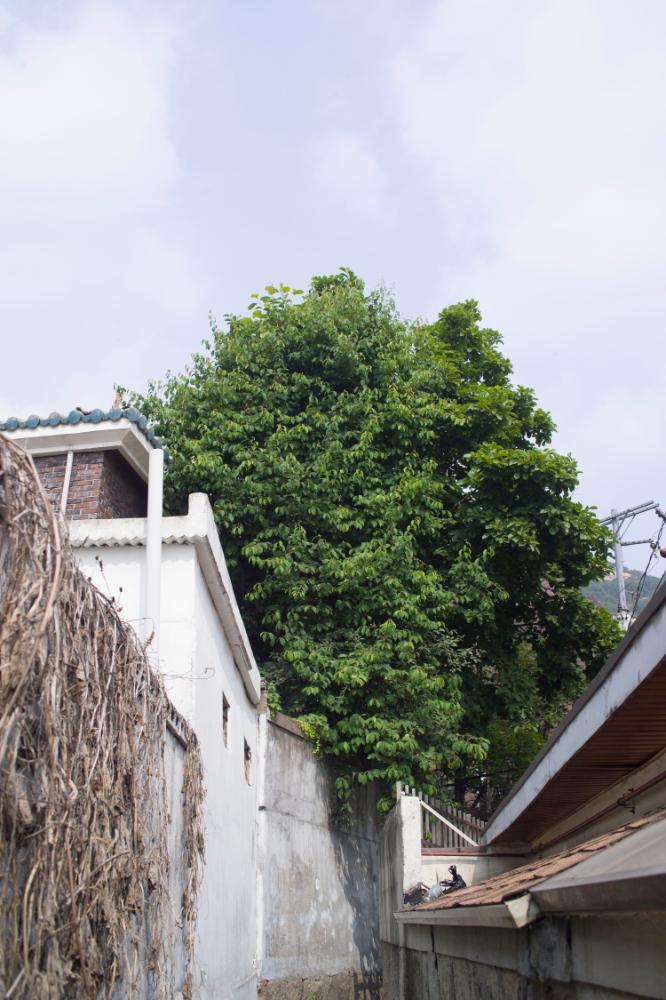 2007년 4월 27일~29일 불광5구역