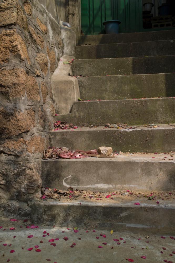 2007년 4월 27일~29일 불광5구역