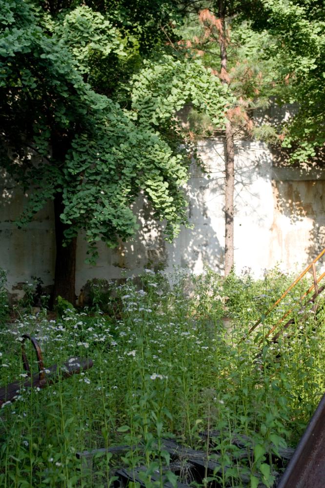 2007년 4월 27일~29일 불광5구역