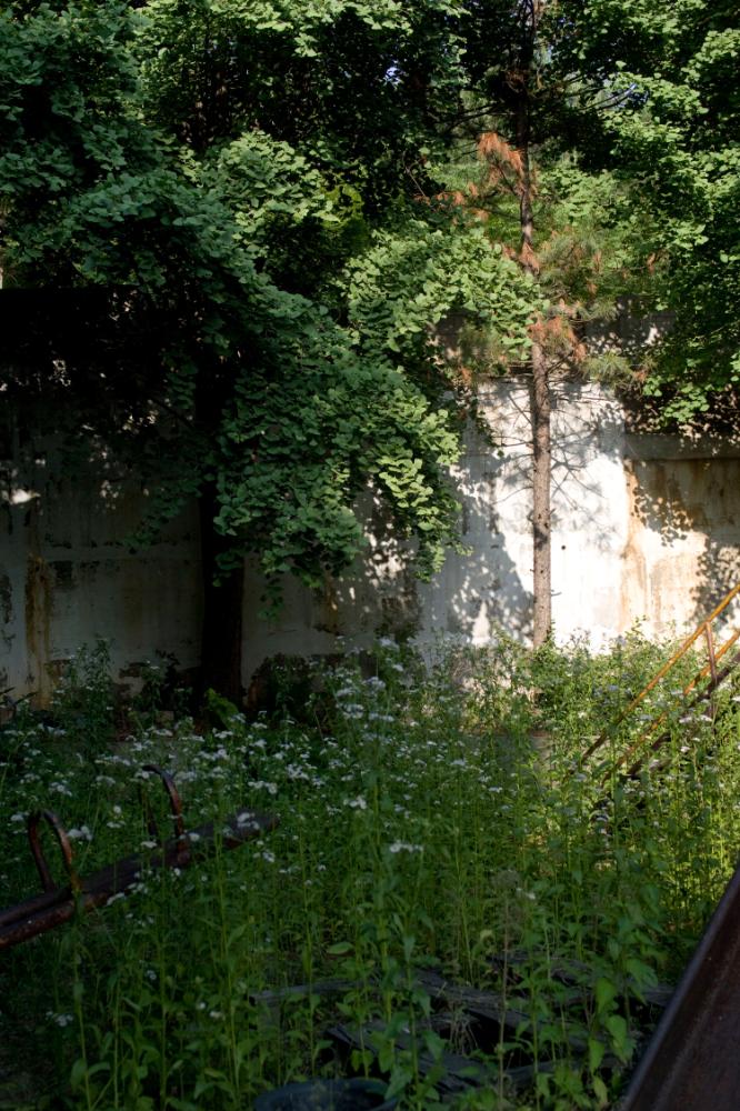 2007년 4월 27일~29일 불광5구역