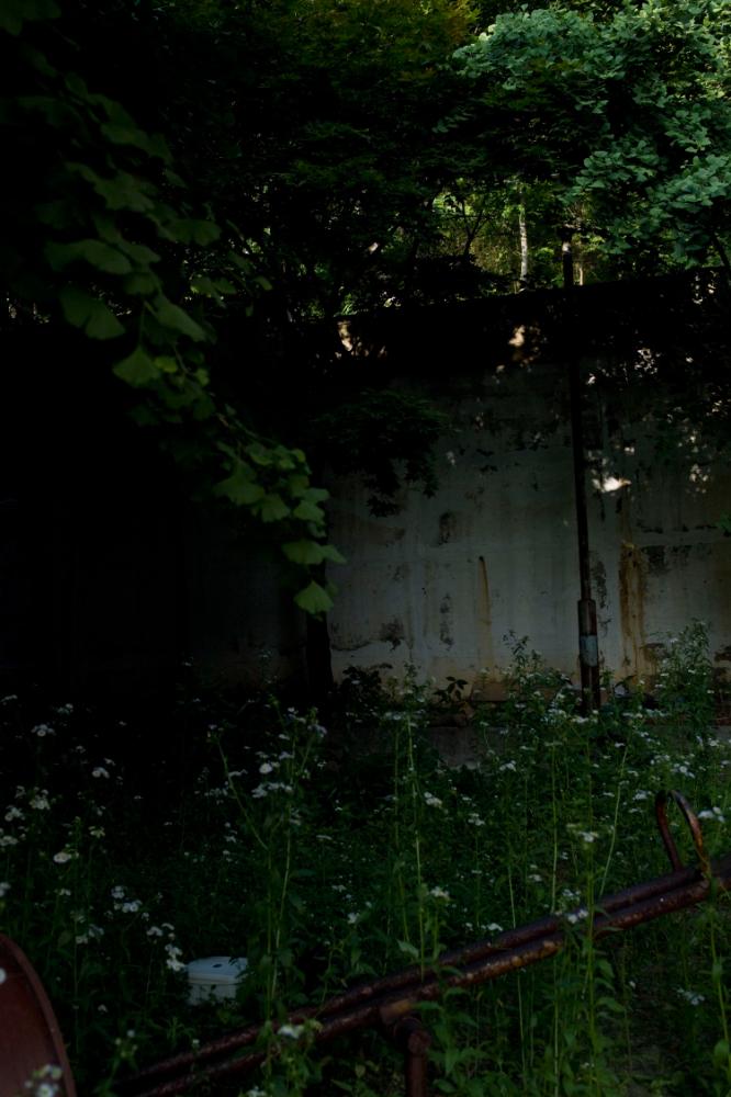 2007년 4월 27일~29일 불광5구역