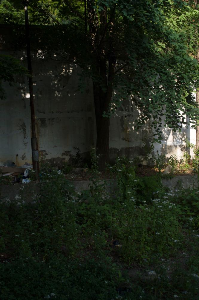 2007년 4월 27일~29일 불광5구역