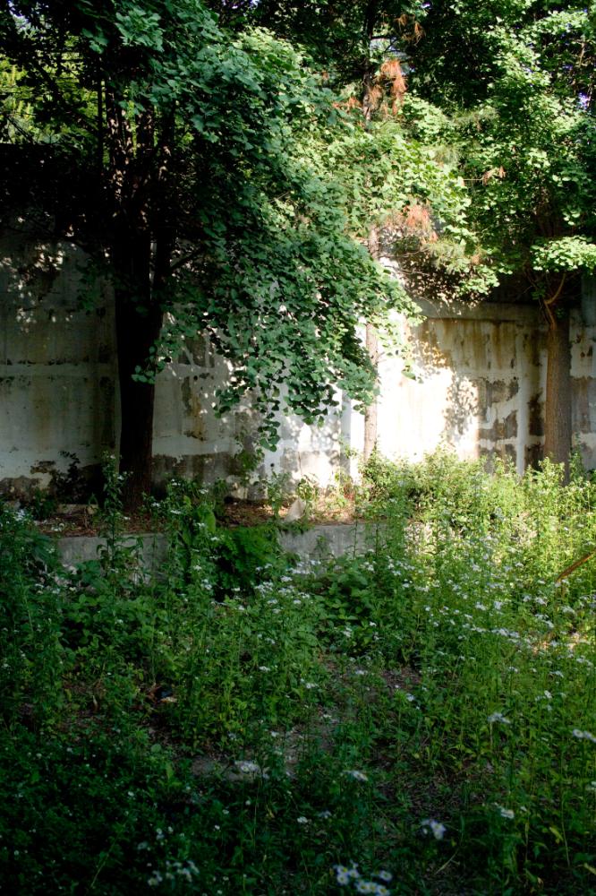 2007년 4월 27일~29일 불광5구역