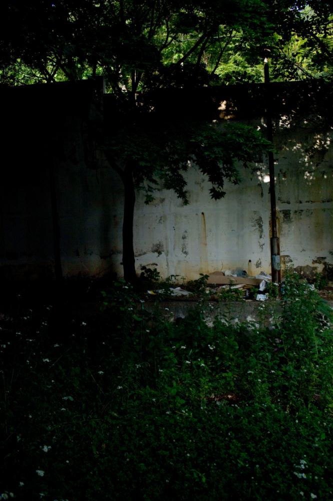 2007년 4월 27일~29일 불광5구역