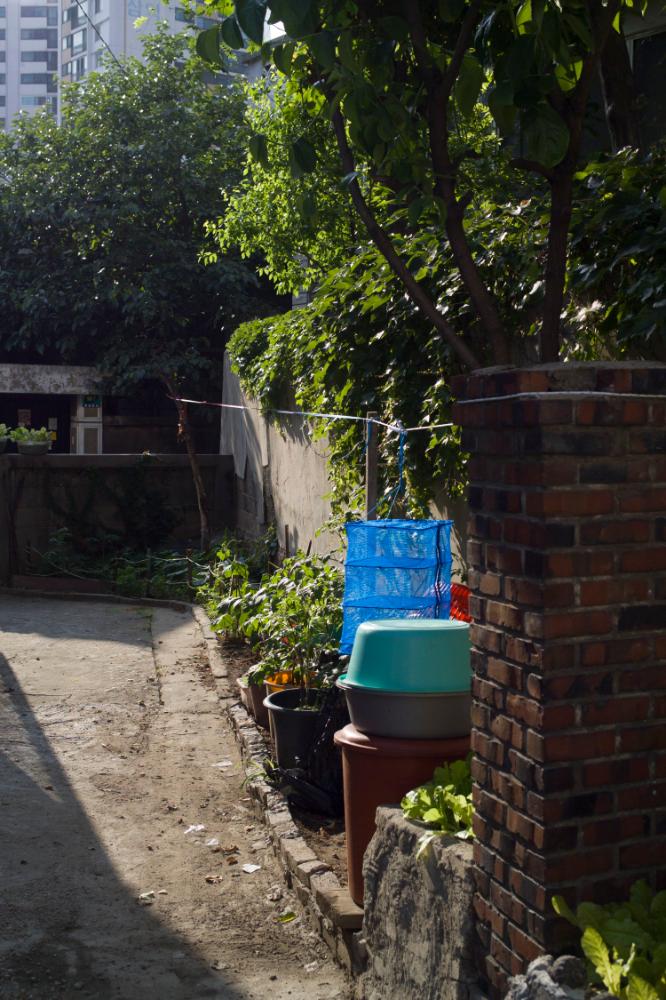 2007년 4월 27일~29일 불광5구역