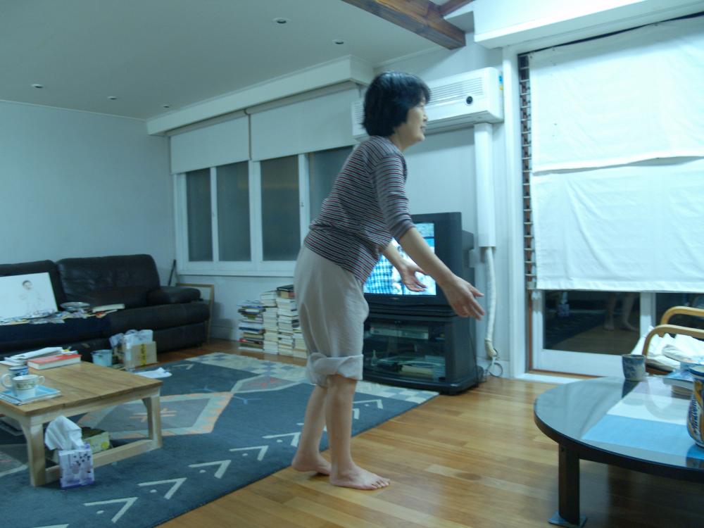 2007년 5월 28일 『한겨레』 황석영 연재소설 「바리데기」 11장 103회 삽화 참고자료 2