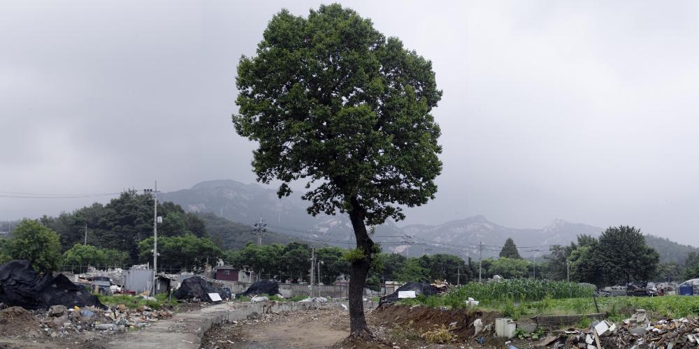 〈은평 뉴타운 - 북한산〉 사진파일 1