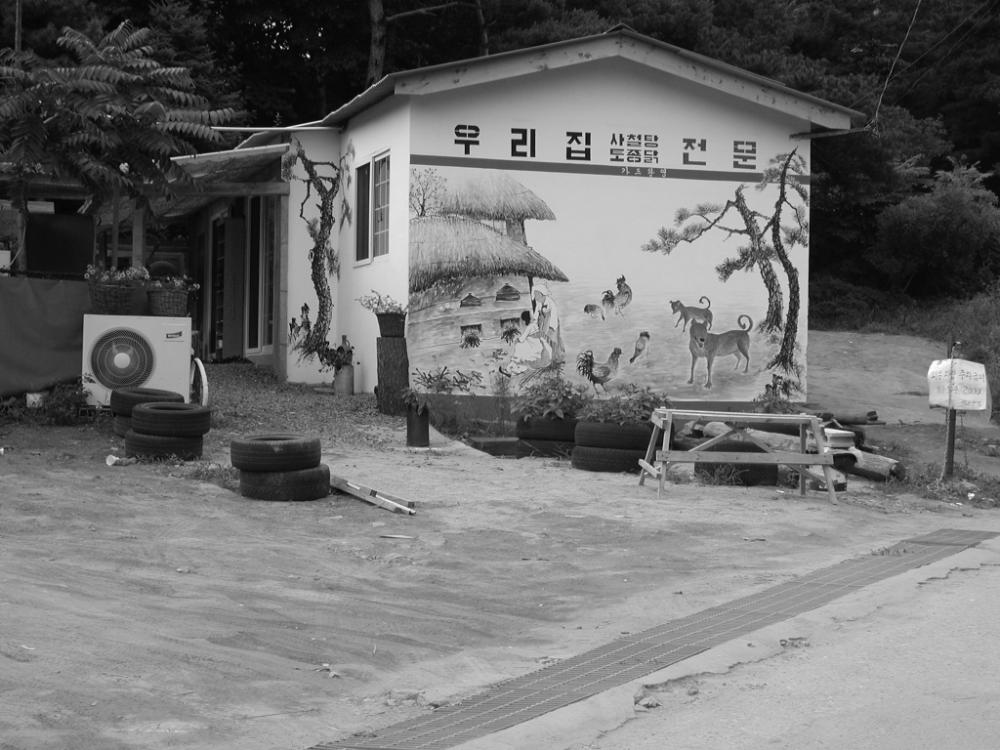 2002년 7월 10일 폭포동 전경 사진파일