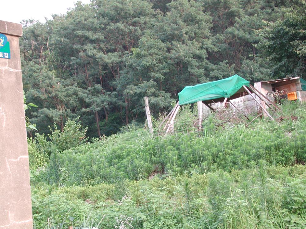 2002년 7월 10일 폭포동 전경 사진파일