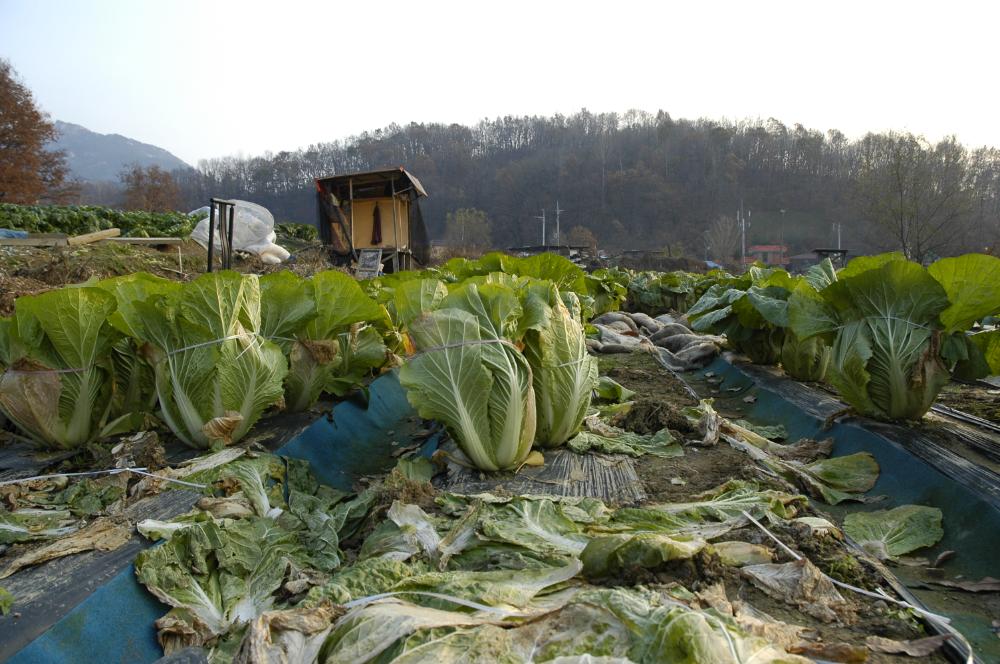 2004년 11월 14일 폭포동 등 사진파일