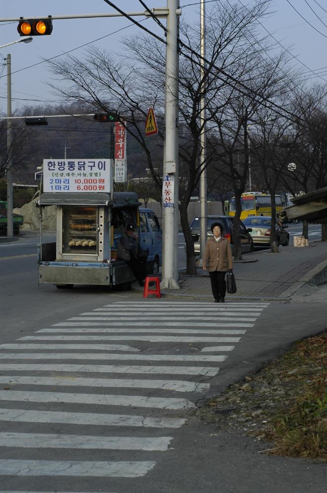 2004년 11월 19일 2지구와 기자촌 사진파일