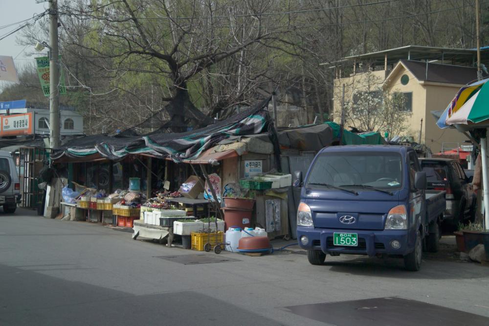 2005년 4월 20일 폭포동 사진, 〈순이〉 연작 일부 사진파일 2