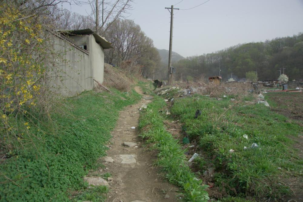 2005년 4월 20일 폭포동 사진, 〈순이〉 연작 일부 사진파일 6