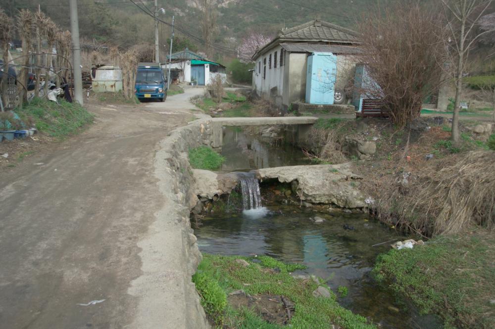 2005년 4월 20일 폭포동 사진, 〈순이〉 연작 일부 사진파일