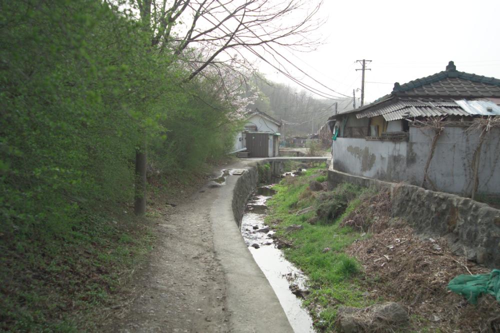 2005년 4월 20일 폭포동 사진, 〈순이〉 연작 일부 사진파일