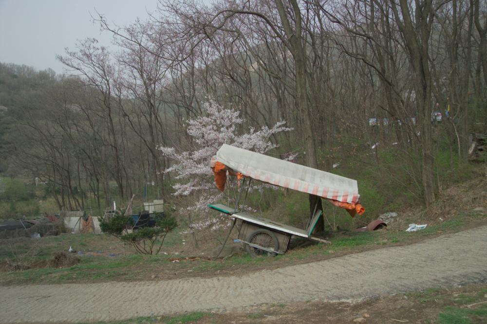 2005년 4월 20일 폭포동 사진, 〈순이〉 연작 일부 사진파일