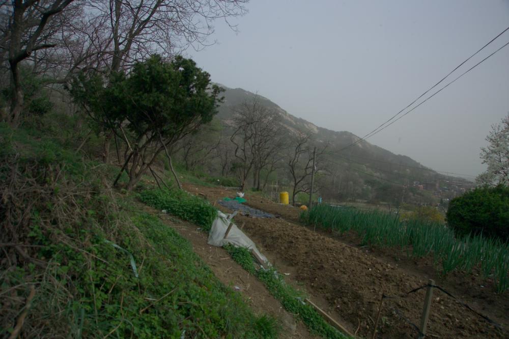 2005년 4월 20일 폭포동 사진, 〈순이〉 연작 일부 사진파일