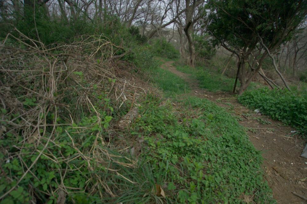 2005년 4월 20일 폭포동 사진, 〈순이〉 연작 일부 사진파일