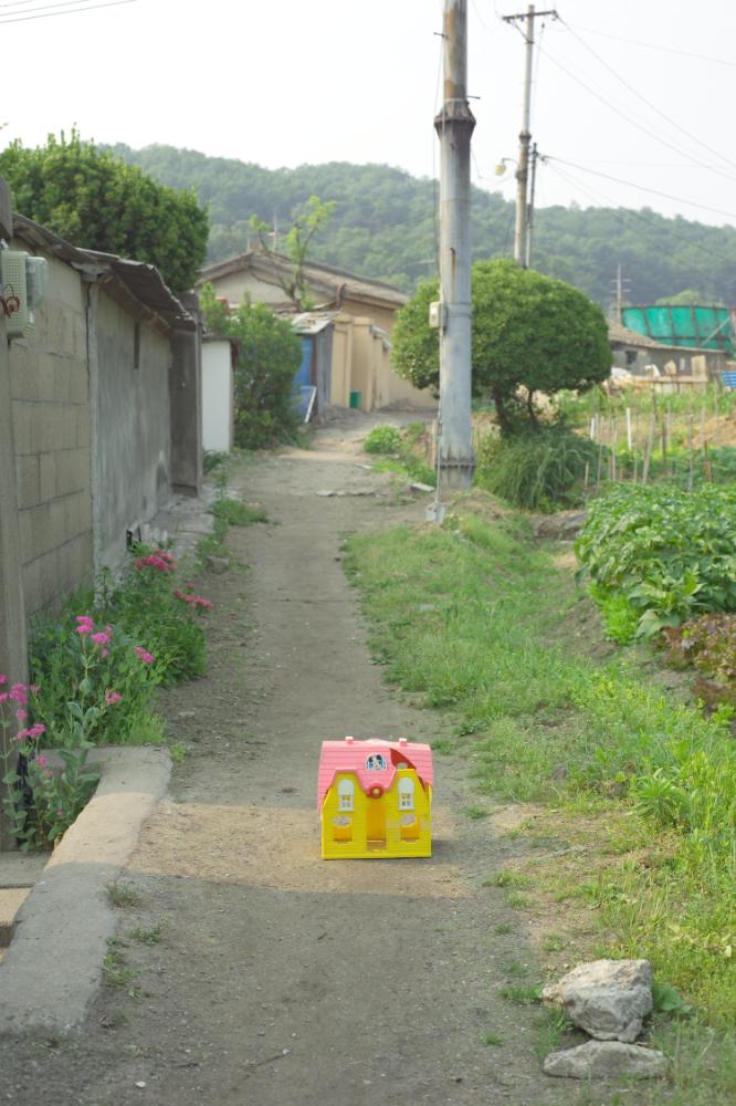 2005년 5월 29일 폭포동 사진, 〈미키네 집〉 연작 일부 사진파일