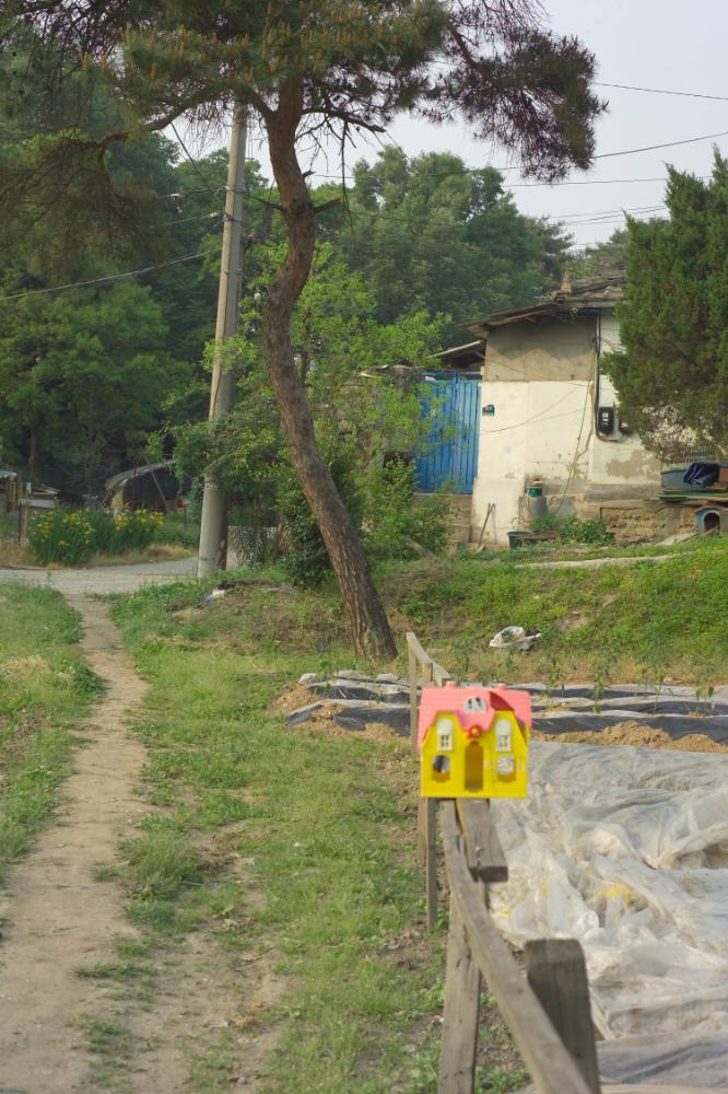 2005년 5월 29일 폭포동 사진, 〈미키네 집〉 연작 일부 사진파일