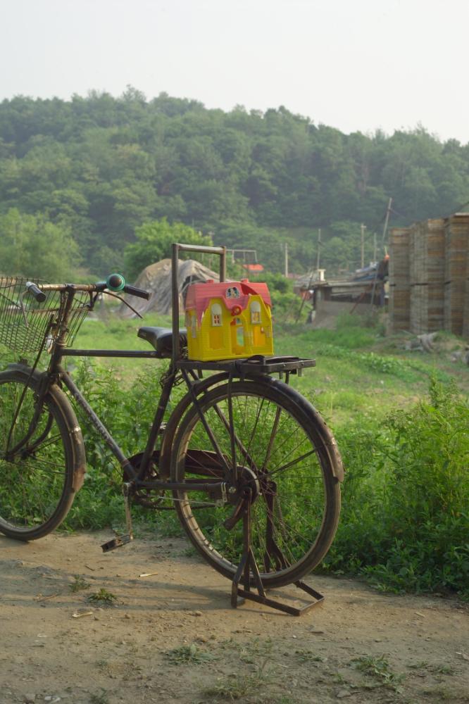 2005년 5월 29일 폭포동 사진, 〈미키네 집〉 연작 일부 사진파일