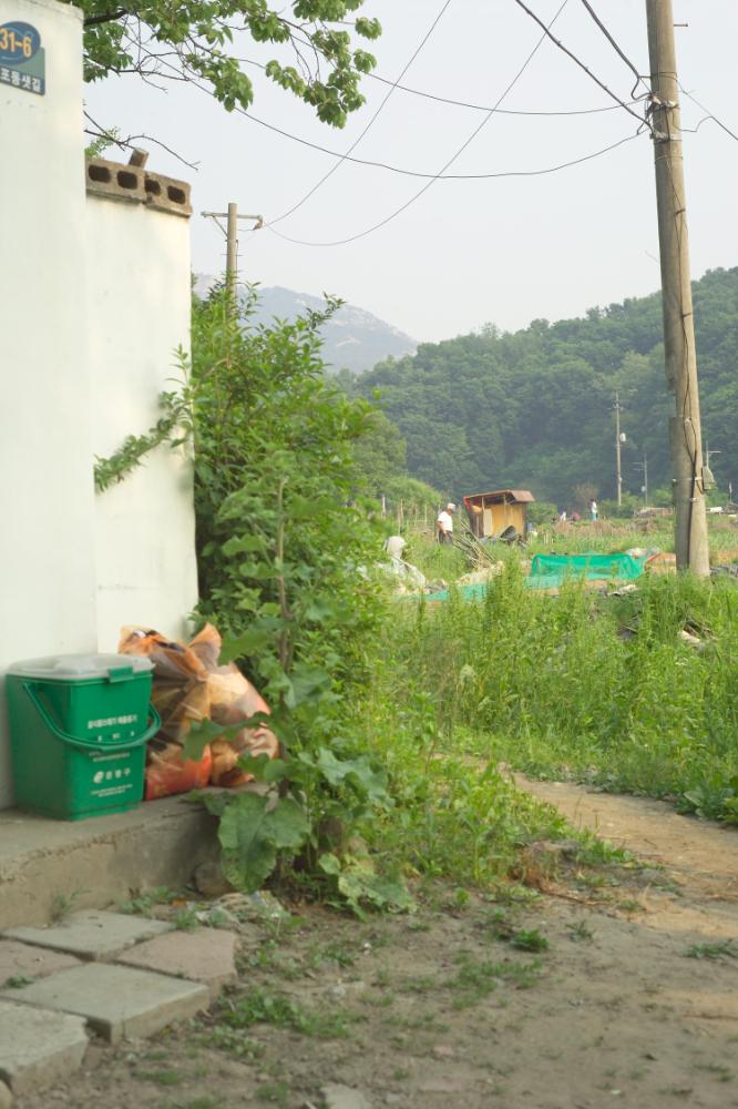 2005년 5월 29일 폭포동 사진, 〈미키네 집〉 연작 일부 사진파일