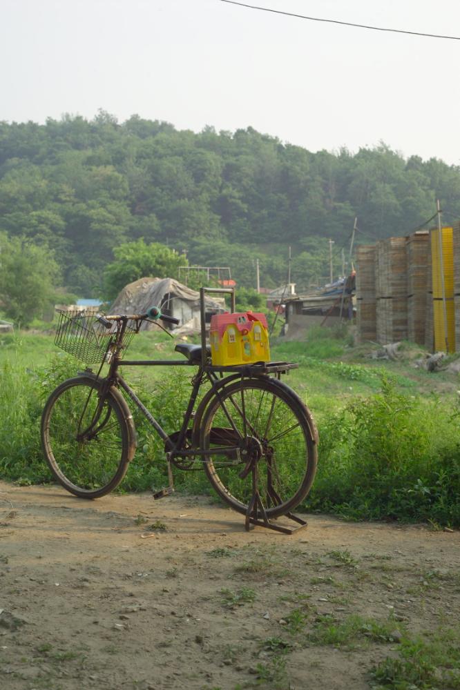 2005년 5월 29일 폭포동 사진, 〈미키네 집〉 연작 일부 사진파일