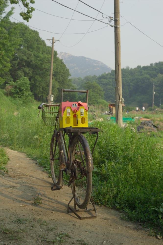 2005년 5월 29일 폭포동 사진, 〈미키네 집〉 연작 일부 사진파일