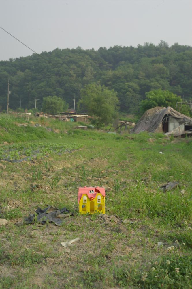 2005년 5월 29일 폭포동 사진, 〈미키네 집〉 연작 일부 사진파일