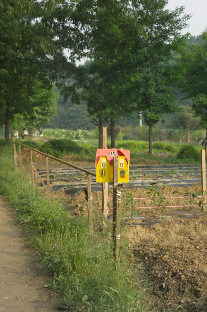 2005년 5월 29일 폭포동 사진, 〈미키네 집〉 연작 일부 사진파일