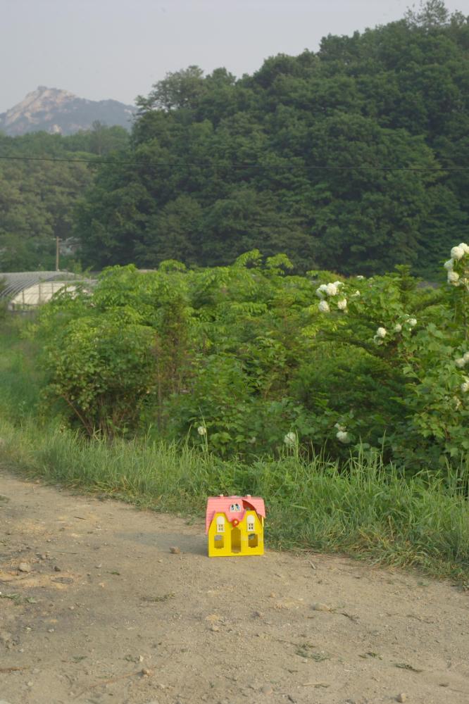 2005년 5월 29일 폭포동 사진, 〈미키네 집〉 연작 일부 사진파일