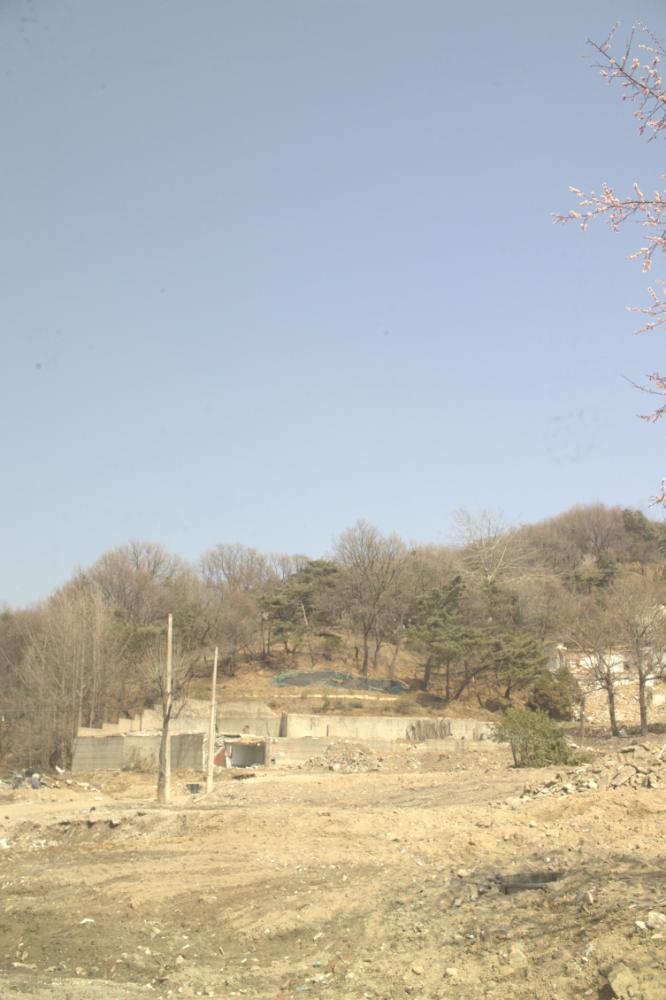 2007년 4월 9일 기자촌 사진파일