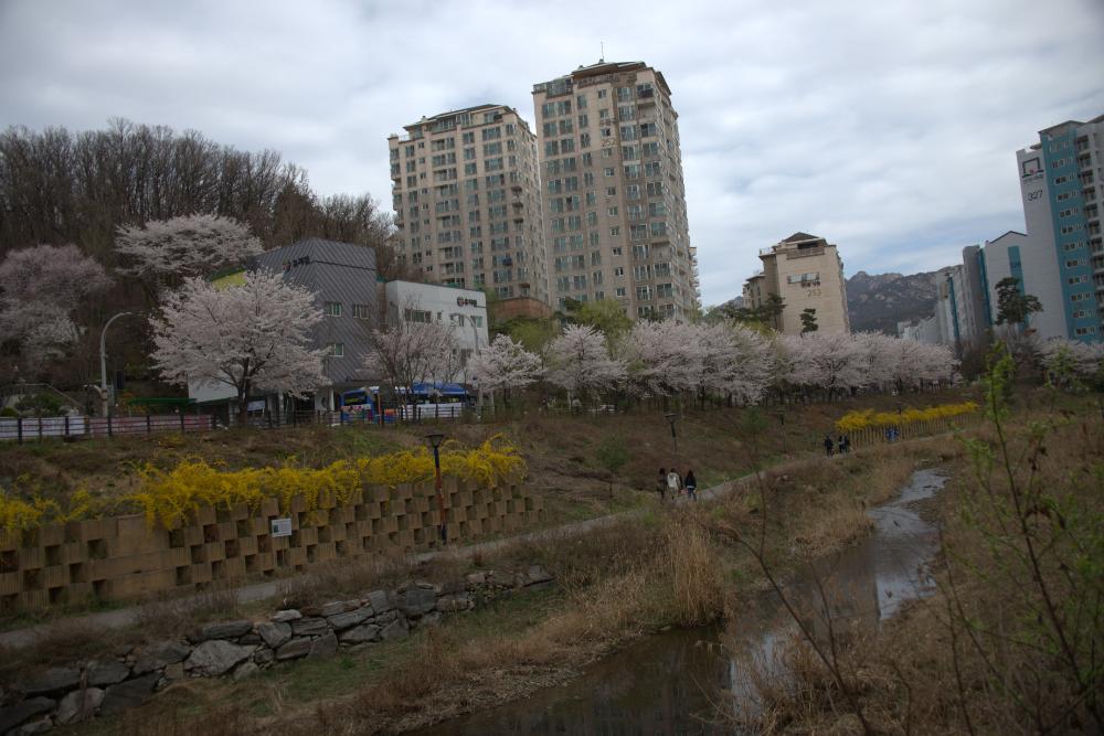 2021년 4월 2일 은평 뉴타운 전경 사진파일