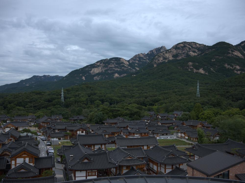 2021년 《은평 뉴타운의 기억, 강홍구 사진전：집 꽃 마을…》 전경 사진파일