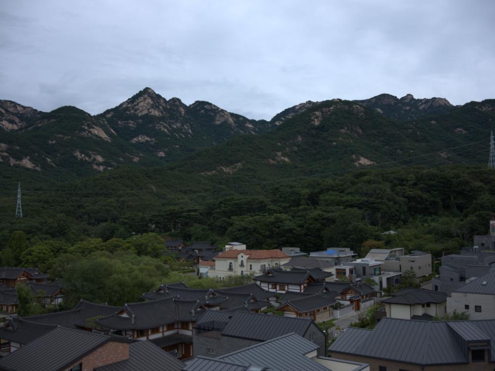 2021년 《은평 뉴타운의 기억, 강홍구 사진전：집 꽃 마을…》 전경 사진파일